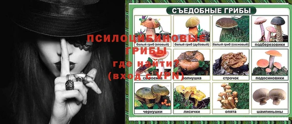 бошки Балахна