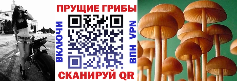 Псилоцибиновые грибы Magic Shrooms  Семилуки 