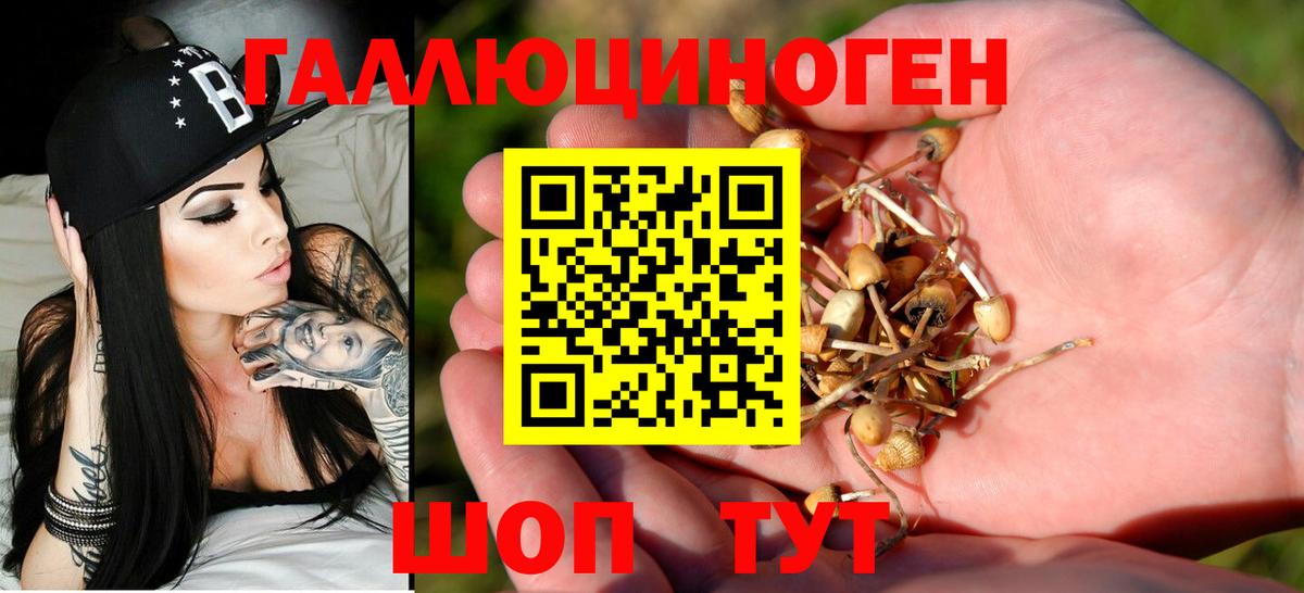 Галлюциногенные грибы Psilocybine cubensis Семилуки
