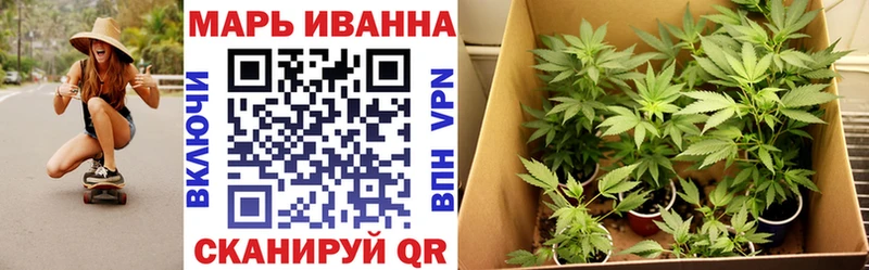Каннабис MAZAR  как найти   Семилуки 
